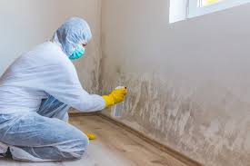 Best Real Estate Mold Inspection  in Ackerman, MS